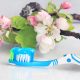 Spring Cleaning: Your Teeth Will Thank You 