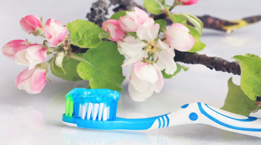 Spring Cleaning Dentist